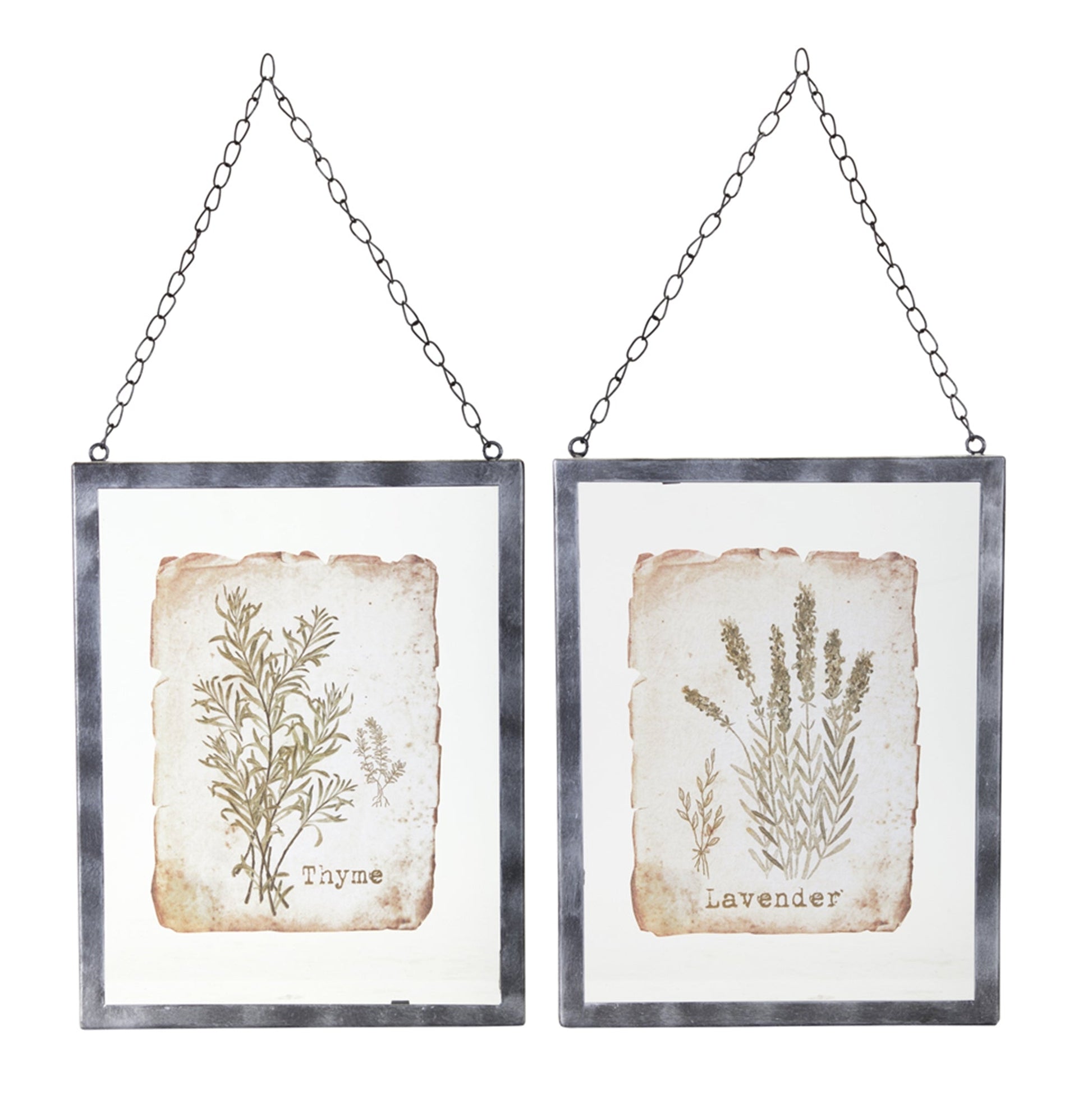 Lavender/Thyme Frame (Set of 2) 9.5" x 12.5" Glass/Metal - l'Ame du temps