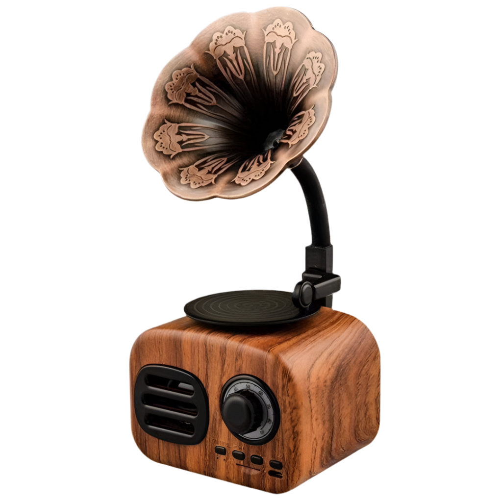 Haut-parleur Bluetooth Portable Mini Radio Vintage - l'Ame du temps 