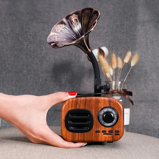 Retro Bluetooth Speaker - l'Ame du temps 
